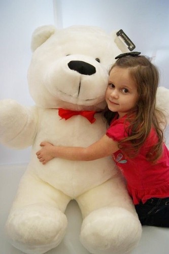 Extra large plush teddy - large, bear