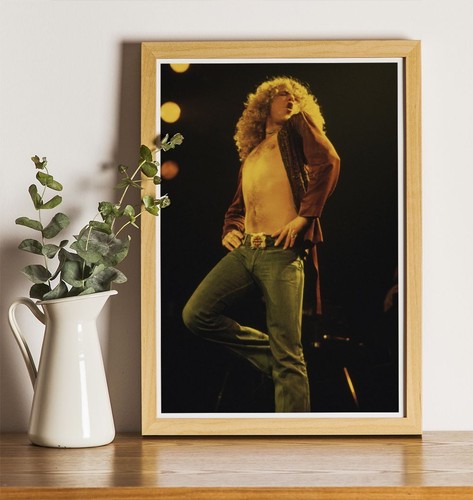 Robert plant x8 - plant, 12"x8"
