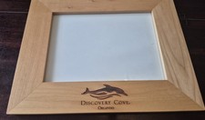 Discovery Cove 8 X 6 Frame With Etched Dolphin Design. Collection only
