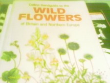 Handguide to the Wild Flowers