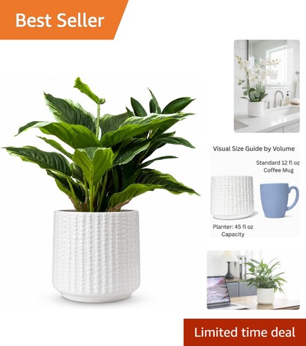 Inch textured ceramic plant - textured,