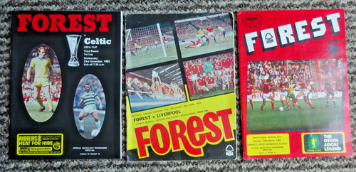 Nottingham forest football - forest,