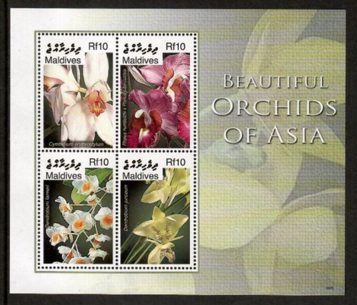 Maldives 2006 orchids - -,