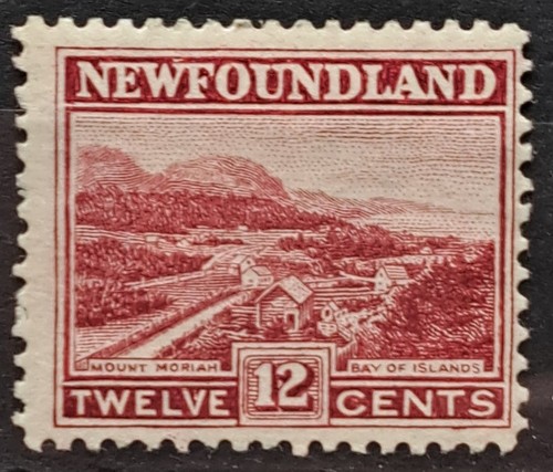 Newfoundland 1923 12c - newfoundland,