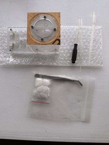 Ant farm - ant,