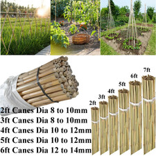 2ft-4ft-6ft Large Bamboo Canes