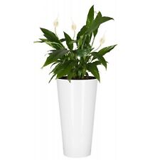 Planter Plant Pot Flowerpot Tubus Outdoor Garden Balcony Indoor Modern Tall