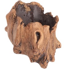 Stump pot large driftwood - stump,