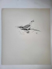 Vintage Pencil Drawing Print