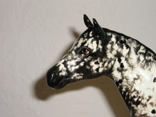 Beswick Horse, Appaloosa