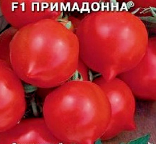 Tomato seed ultra - ultra, f1