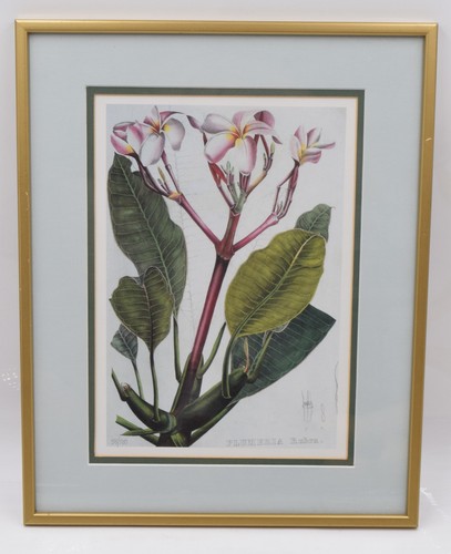 William roscoe framed - roscoe,