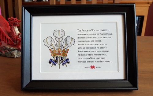 Prince wales feathers - wales,
