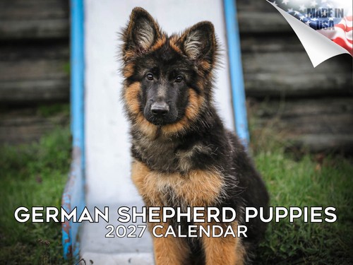 German shepherd pups - pups, wall
