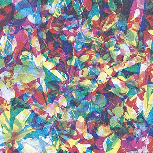 Caribou our love - caribou, vinyl