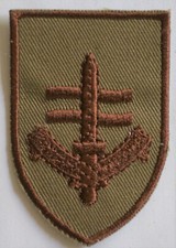 British elite Special Boat Service special forces beret badge, desert subdued 