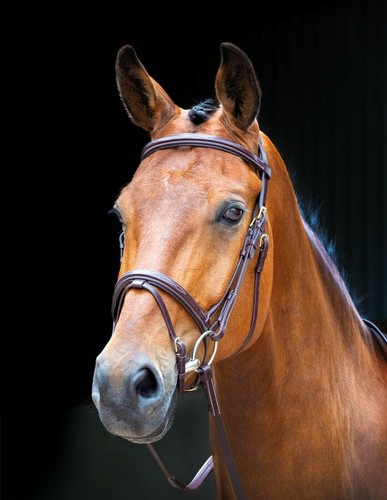 Shires salisbury bodenham - shires,