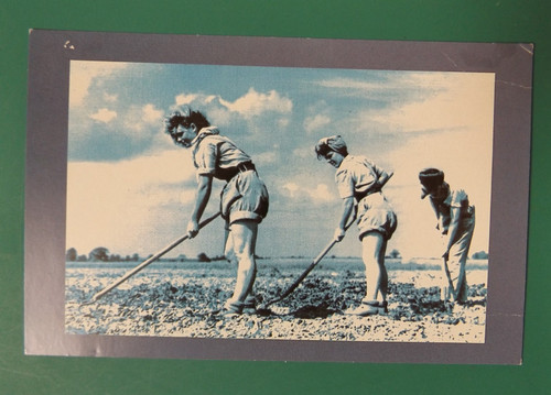 Land army girls wwii history - girls,