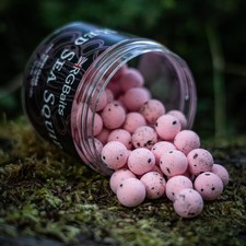 RG Baits Red Sea Squid 'High Class' Pink Edition Pop-ups + Booster- 12mm Or 15mm