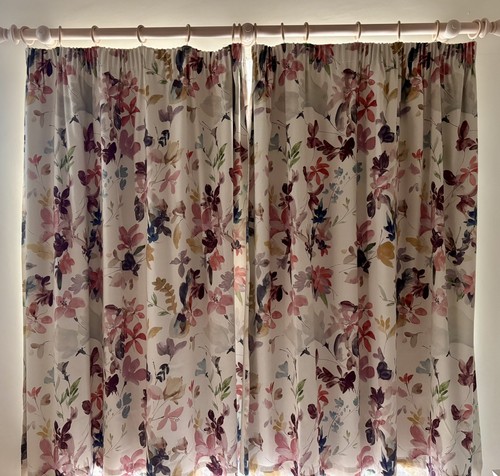 John lewis abelia - john,