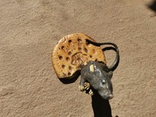 Franz Bergman, Bronze Stamped Geschutzt Mouse Tasting A  Buscuit Rat Mice 