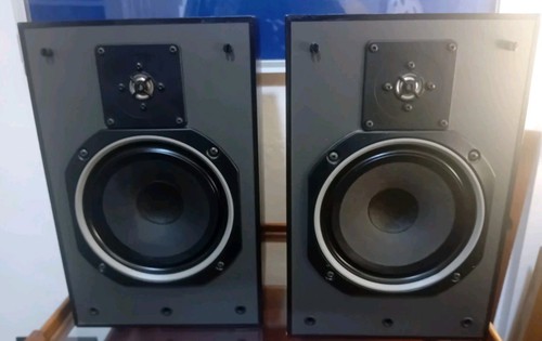 Mordaunt short ms25ti - short,