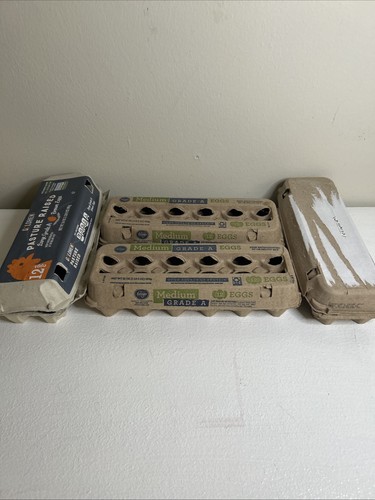 Empty cardboard egg cartons - egg,