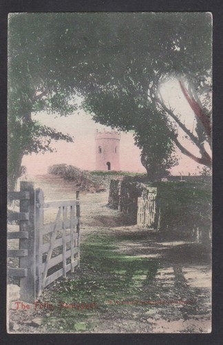 1907 postcard the - ,