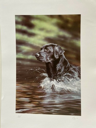 Black labrador limited edition - black,