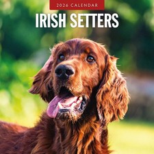 Irish setters 2026 square wall - 2026,