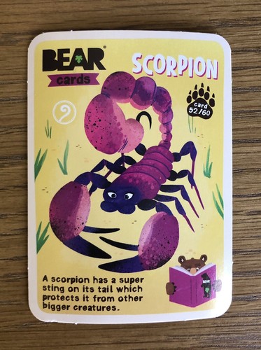 Bear brand new animals - bear, yo-yo