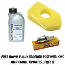 Hayter Spirit 41 Lawn Mower