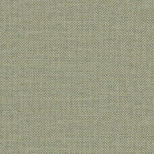 Linwood leckford fern - linwood,