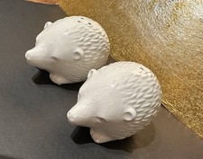 Hedgehog Salt & Pepper Shakers