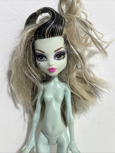 Monster high designer - monster,