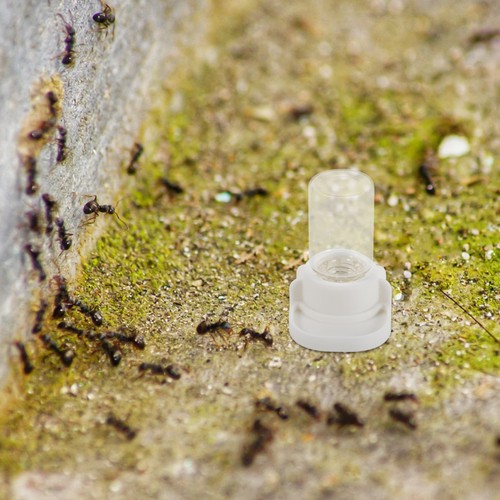 Pcs reusable plastic - 2,