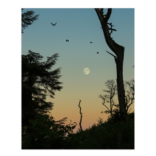 Gallows hill stornoway - gallows,