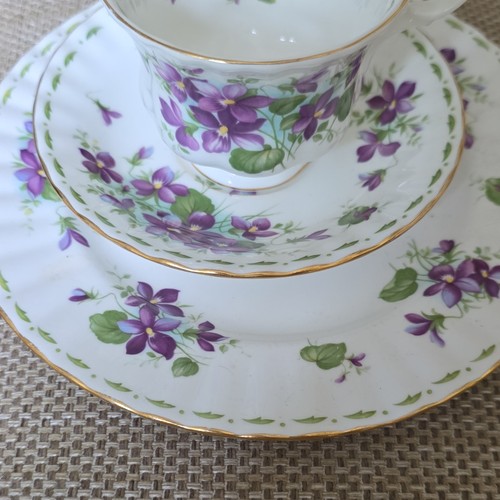 Royal albert flower - royal, the