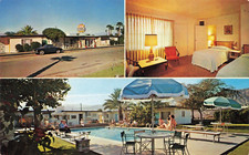 Postcard CA Palm Desert Palm