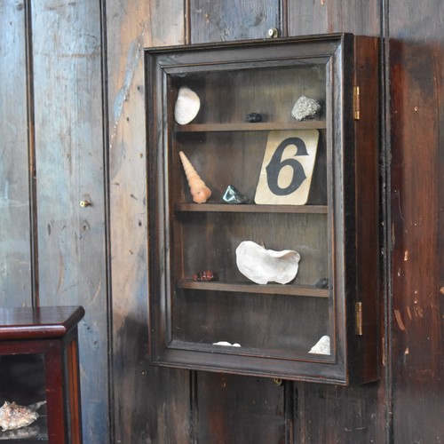 Antique oak collectors - antique,