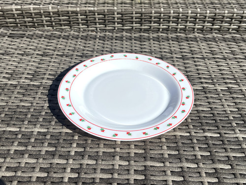 Vintage arcopal france dinner - france,