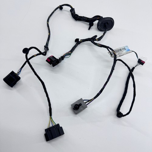 Ford max door - door, loom
