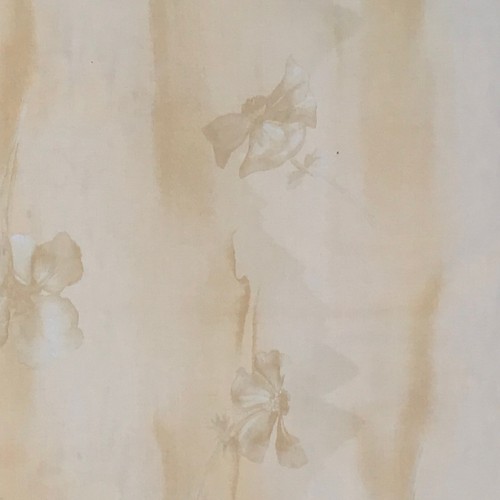 Water iris floral screen print - water,
