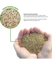 GroundMaster Premium Lawn