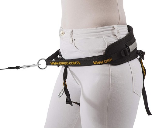 Dingo canicross belt 1 - belt, 4-in-1