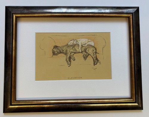 Elevation framed print - elevation, *framed