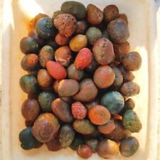 Rare China Natural Warring