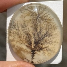 22ct 25x22x5.6mm Fine Fern