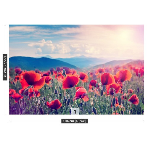 Non woven wall mural - mural, photo