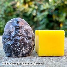 Notopocorystes stokesi Fossil